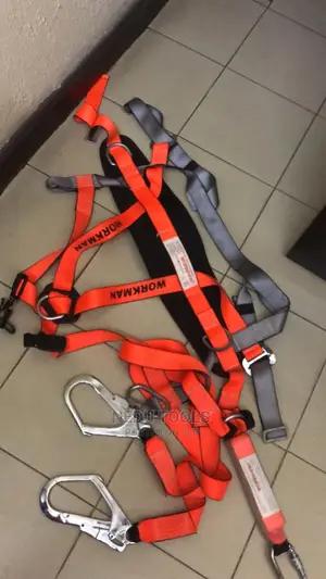 Double Hock Safety Belt