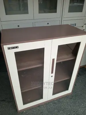 Office Filling Carbinet With 2shaves 1yesr Warranty