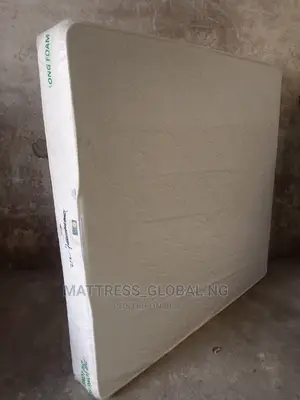 6*6 by 10 Inches Zhe Long Foam