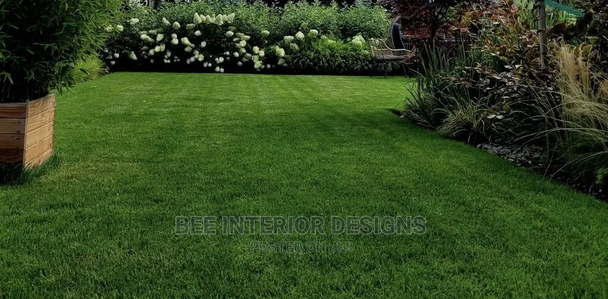 Quality Artificial Grass