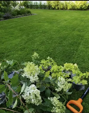 Artificial Green Carpet Grass