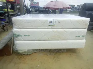 6 by 6=10 Inches Zhe Long Mattress