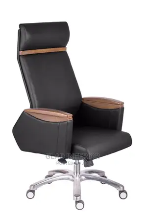 Super Super Unique Executive Chair