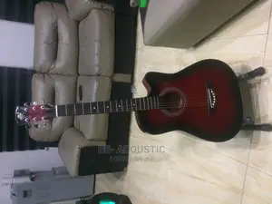 Newly Bought U.S.A Acoustic Guitar