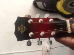 Newly Bought U.S.A Acoustic Guitar