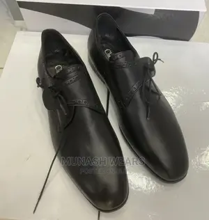 Luxury Italian Dior Shoe
