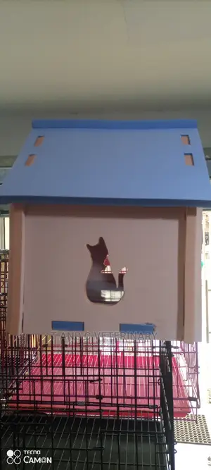 Pet Cat Kitten House Cage Home