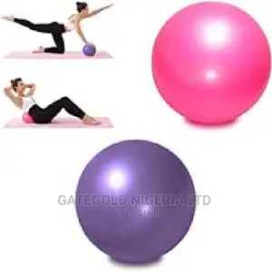 EB01 Ab Exercise Ball0