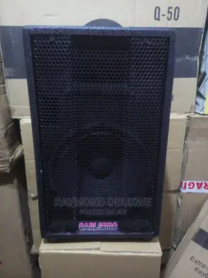 Professional 10 Inch Two Way P a System