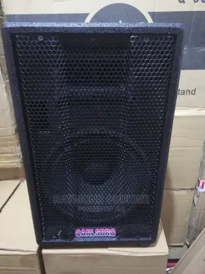 Portable 10" Acoustic Speakers