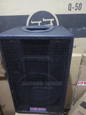 Professional Acoustic 10" Studio and P a Speakers