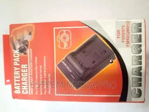 Np-F Series Single-Battery Charger