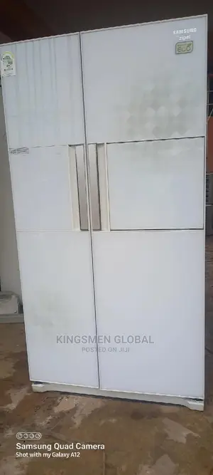 High Quality Samsung Inverter Refrigerator 750litre Capacity
