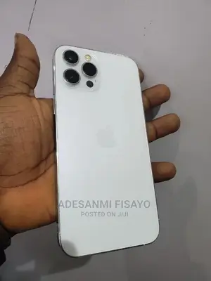 Apple iPhone 12 Pro Max 256 GB Silver