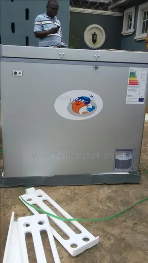 LG 300 Litre Deep Freezer With 2 Years Warranty Sign