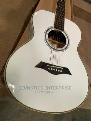 Quality/Professional Medium Size Dame Acoustic Guitar