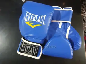 Blue Everlast Boxing Gloves