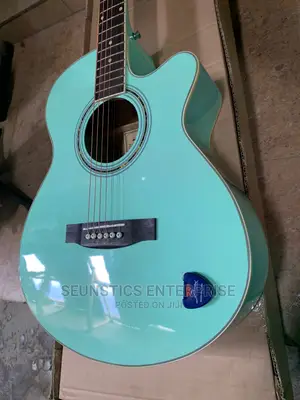 Quality/Original Fenix Acoustic Guitar
