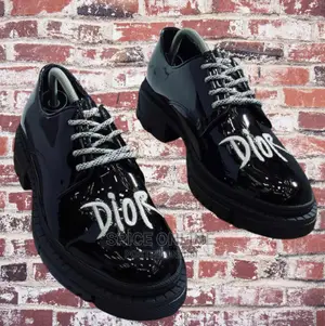 VIP: DIOR Quality Shoe