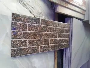 25x50 External Wall Tiles Etc