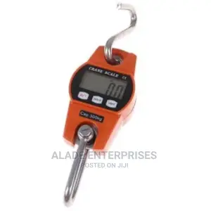 Digital Hanging Scale - 300 Kg