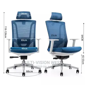 Ergonomic and Bionic Office Chairs