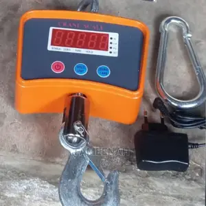 500kg Industrial Digital Hanging Scale/Crane Scale
