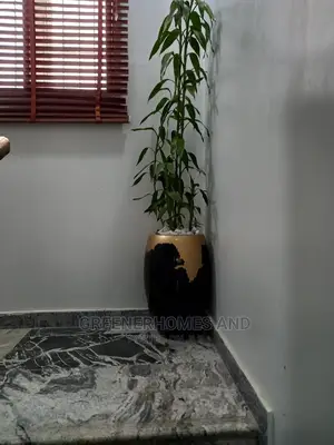 Fiberglass Pot and Live Plant