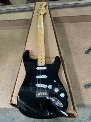 Professional Fender Stratocaster Lead Guitar