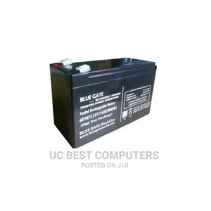 Bluegate Ups Replacement Battery - 12v7ah