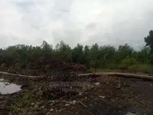 50 Plots of Water Front Land for Sale