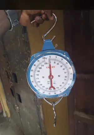 Hanging Scale