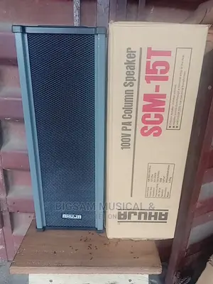 Ahuja Wall Speaker