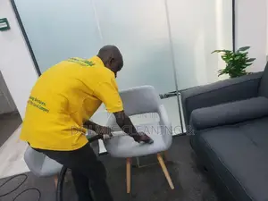 Fabric Sofa Cleaning Wash and Dry