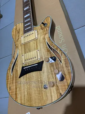 Michael Kelly Electric Acoustic All-in-One Hybrid 55 Guitar
