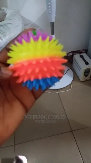 Pet Toy Balls