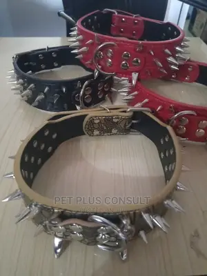 Spike Collars for Large Breeds
