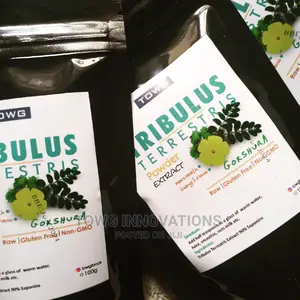 Tribulus Extract 90% Saponins 100g