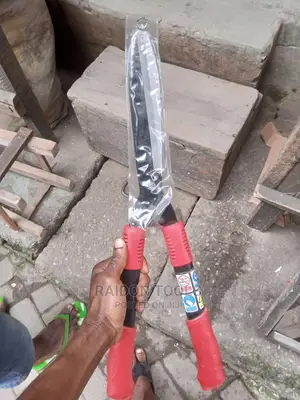 Flowers Scissors