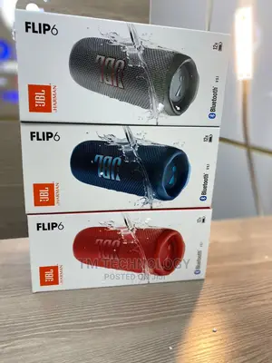 JBL Flip 6