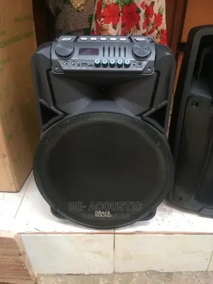 15 Inches Big Body Grace Sound PA System