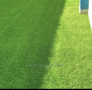 Artificial Grass