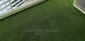 Artificial Grass