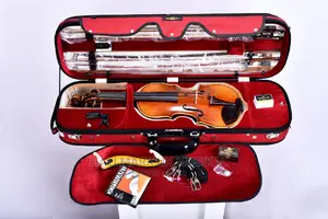 Hallmark-Uk Professional Violin Hpv300s