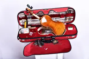 Hallmark-Uk Professional Violin Hpv300s