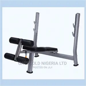 Wt-A51 Decline Weight Bench (Premium)