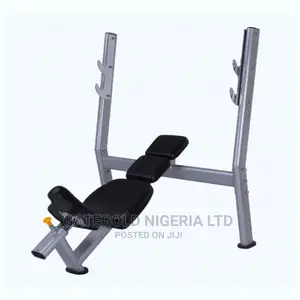 Wt-A50 Inclined Weight Bench (Premium)