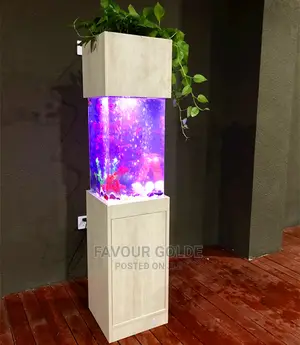 Mimi Aquarium