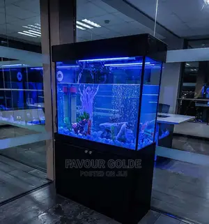 Local Made Aquarium
