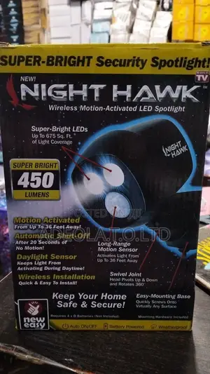 Night Hawk Security Light